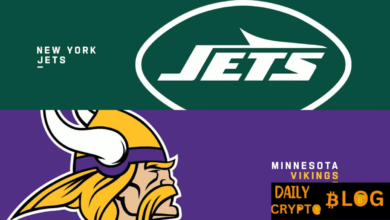 new york jets vs minnesota vikings match player stats