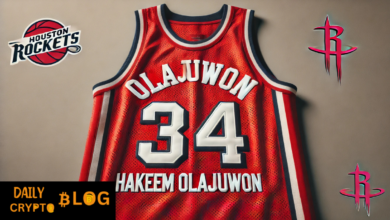 hakeem olajuwon jersey