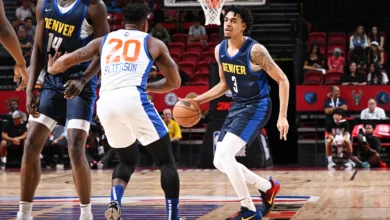 knicks vs denver nuggets match player stats